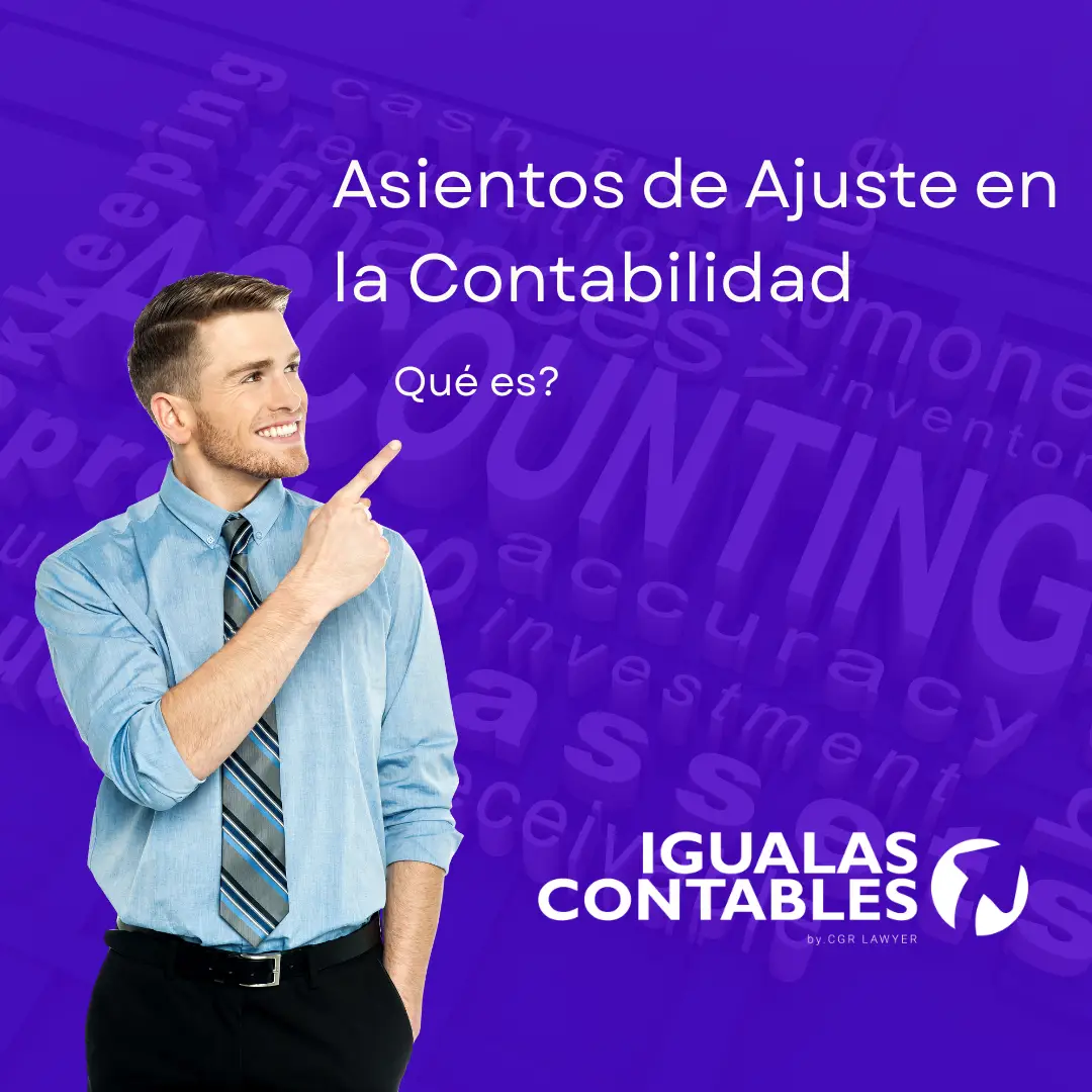 Características de los Asientos de Ajuste en la Contabilidad de una Empresa